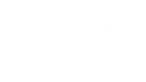 Live TV channels and VOD content on 4K Gold IPTV